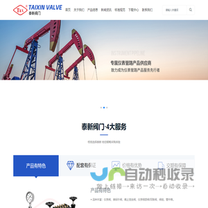 针阀_仪表阀_阀组_DBB阀门-浙江泰新阀门有限公司